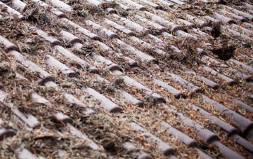 St Johns Fen End roof cleaning companies